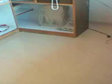 Hot Indian Babe Fucks Neighbour While Husband Watches (Real Audio)
