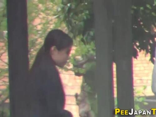 Public Asian woman is peeing in public