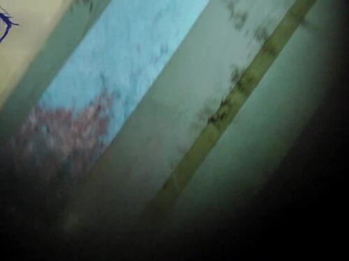 Kawai Pees On Toilet In Toilet