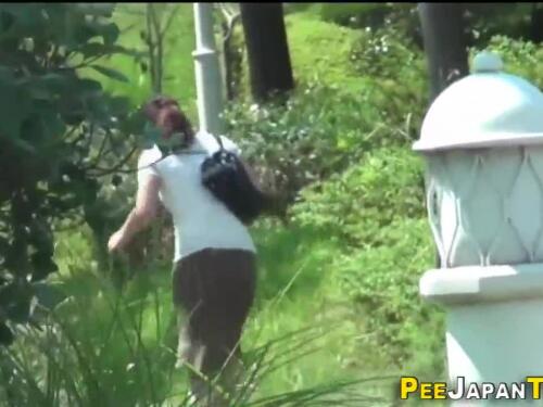 Busty Asian whore pissing in public