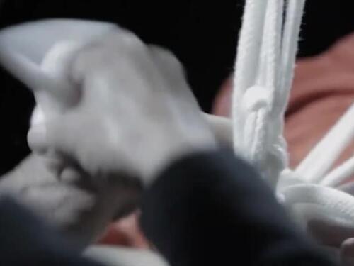 Yuu (Parte 2) - Japanese Bondage