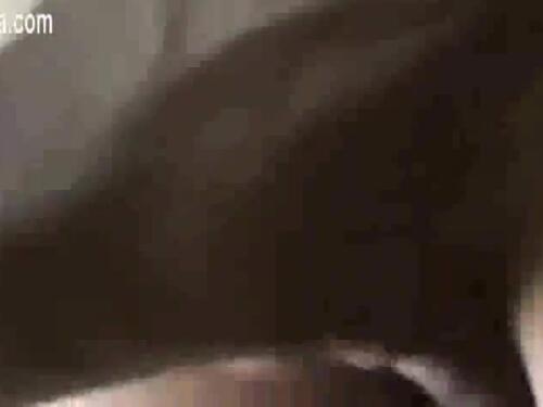 Bukkake facial aami safiya a sinhati boudi