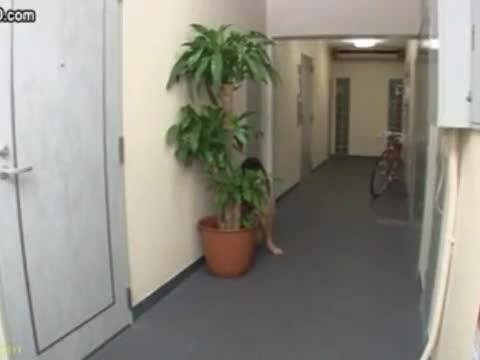 I love the way that dark-haired Japanese girl enjoys getting fucked in a striptease